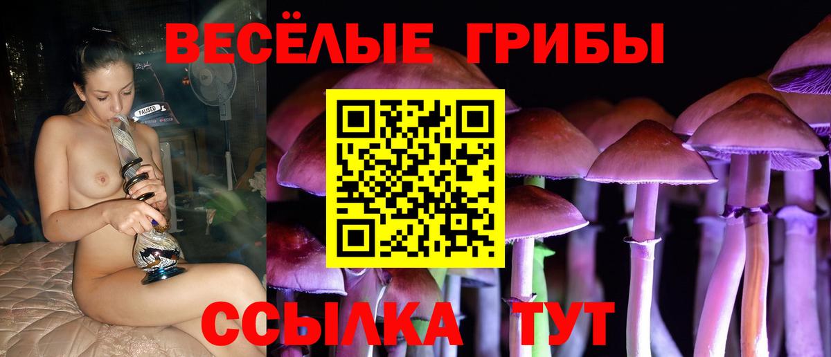 Галлюциногенные грибы Cubensis  Вход с VPN  как найти   Шарыпово 